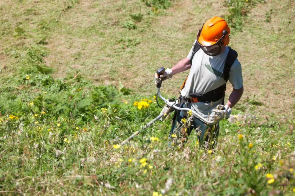 débroussaillage près de Cormery